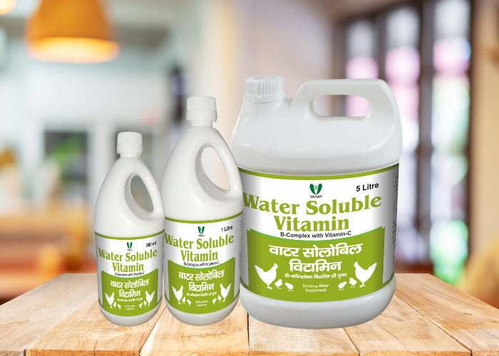 Chick Feed Supplement Manufacturer in India