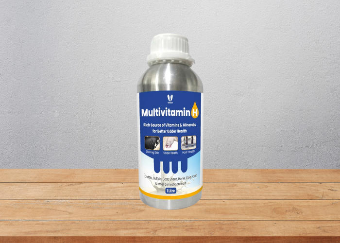 Export Animal Feed Supplement Manufacturer in India