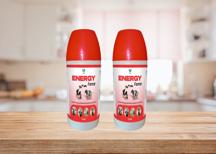 Export Animal Feed Supplement Manufacturer in India