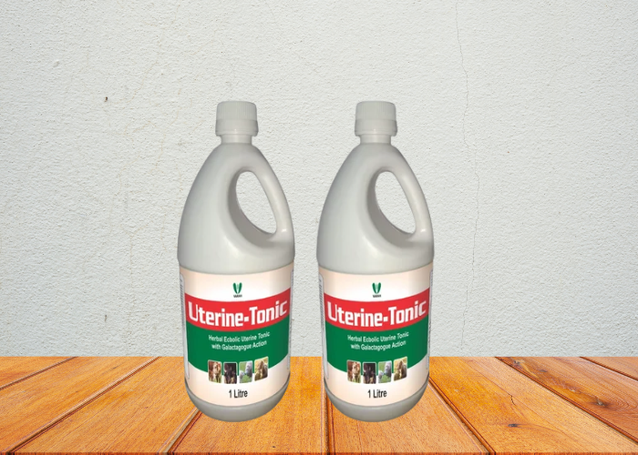 Animal Feed Supplements Manufacturer in India